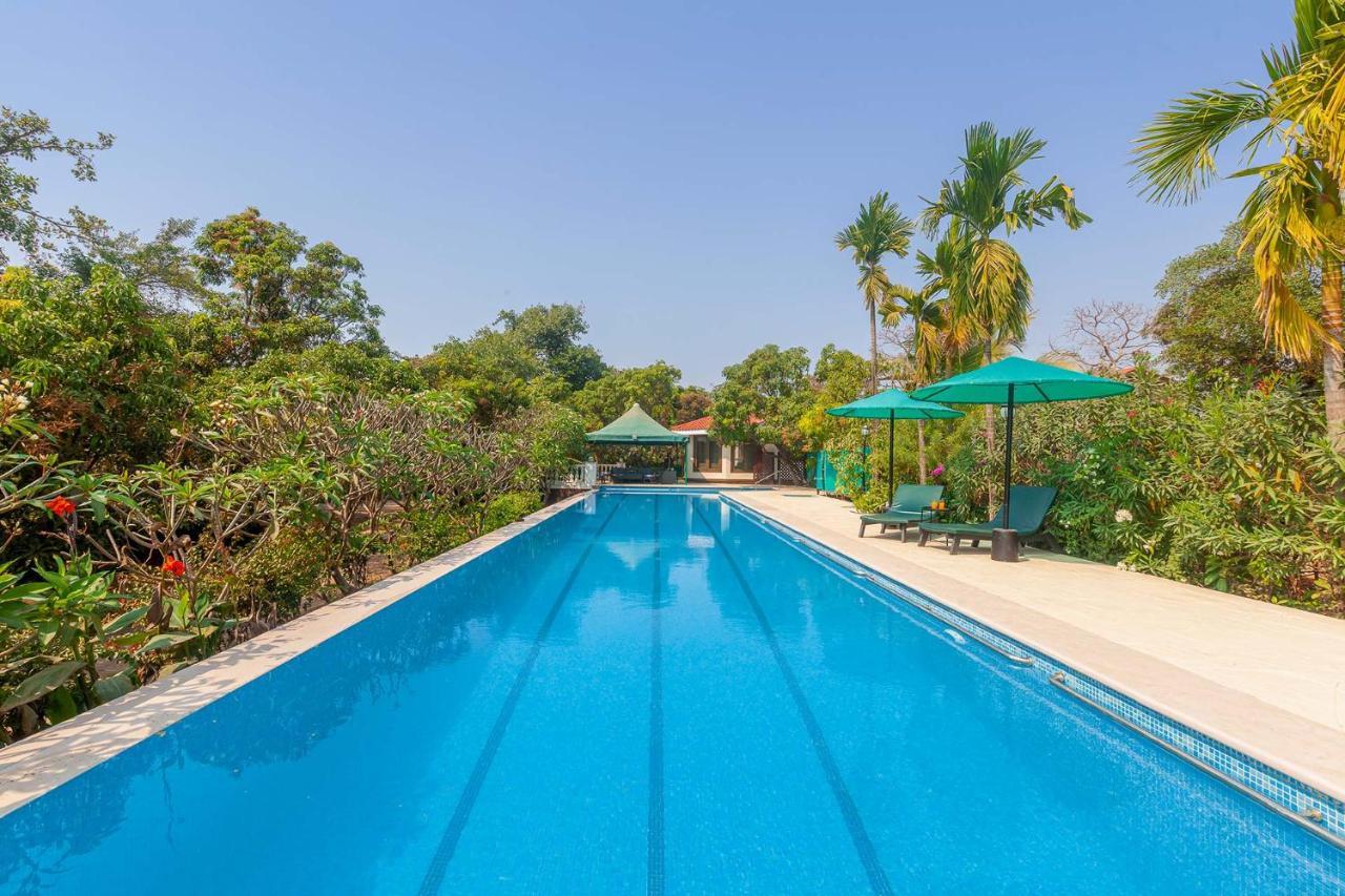 Stayvista'S Casa Palmera - Pet-Friendly Villa With Pool, Garden With Gazebo, And Indoor & Outdoor Games Alībāg Buitenkant foto