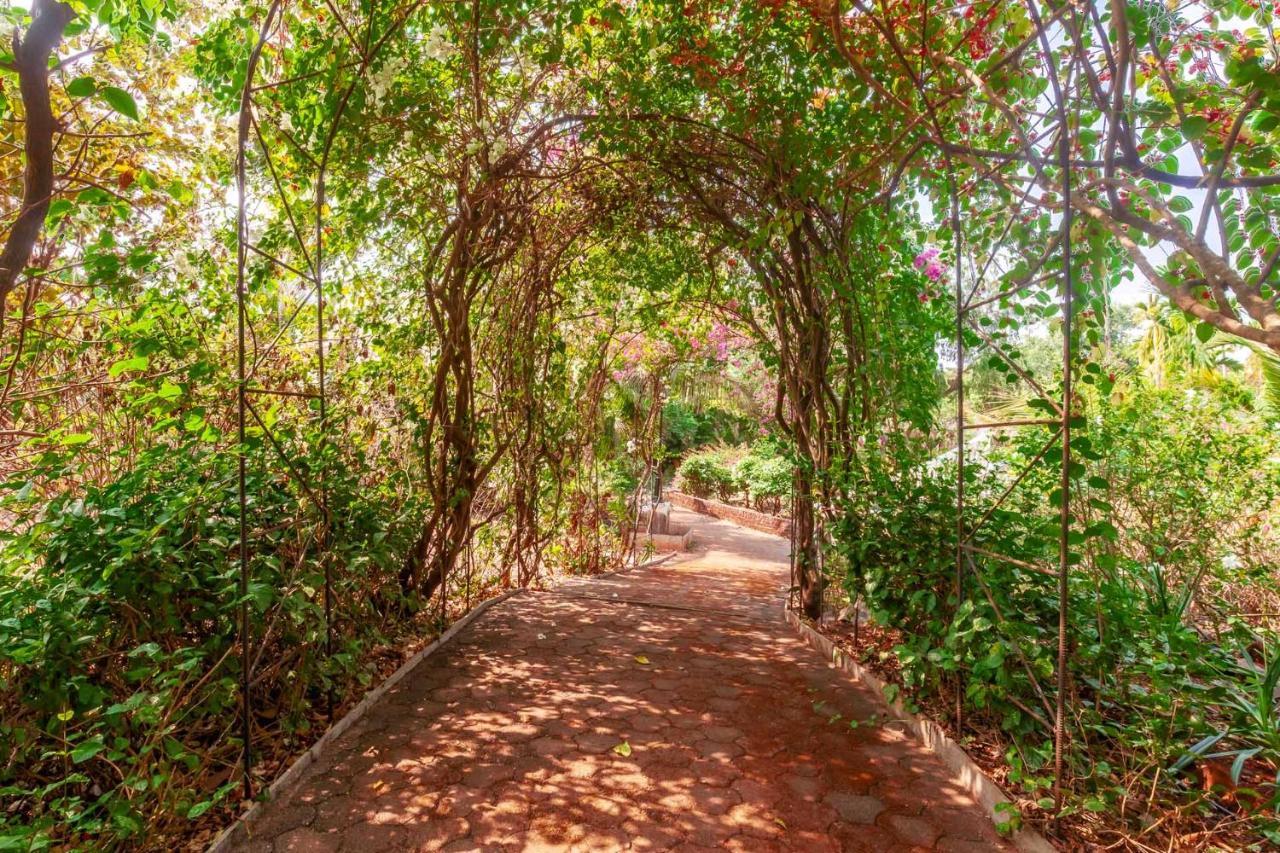 Stayvista'S Casa Palmera - Pet-Friendly Villa With Pool, Garden With Gazebo, And Indoor & Outdoor Games Alībāg Buitenkant foto